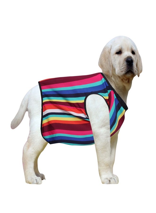 ويستيرن إرا تيشيرت قطني ناعم للكلاب بتصميم غربي أنيق، ملابس مريحة للكلاب، سترة بدون أكمام، طقم ملابس للجراء، ملابس (مخططة بالألوان) (متوسط) (18 بوصة) - Image 1